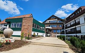 Naturpark Hotel Ebnisee